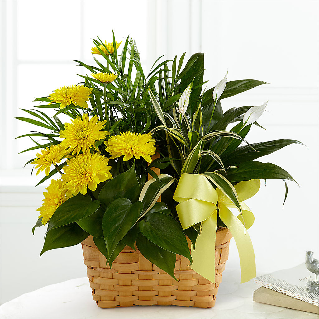 Loving Light Dishgarden – HONEY BEES FLORAL & MORE, Lucedale MS