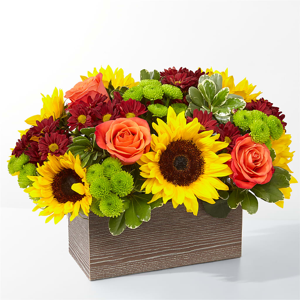 Happy Harvest Garden – HONEY BEES FLORAL & MORE, Lucedale MS