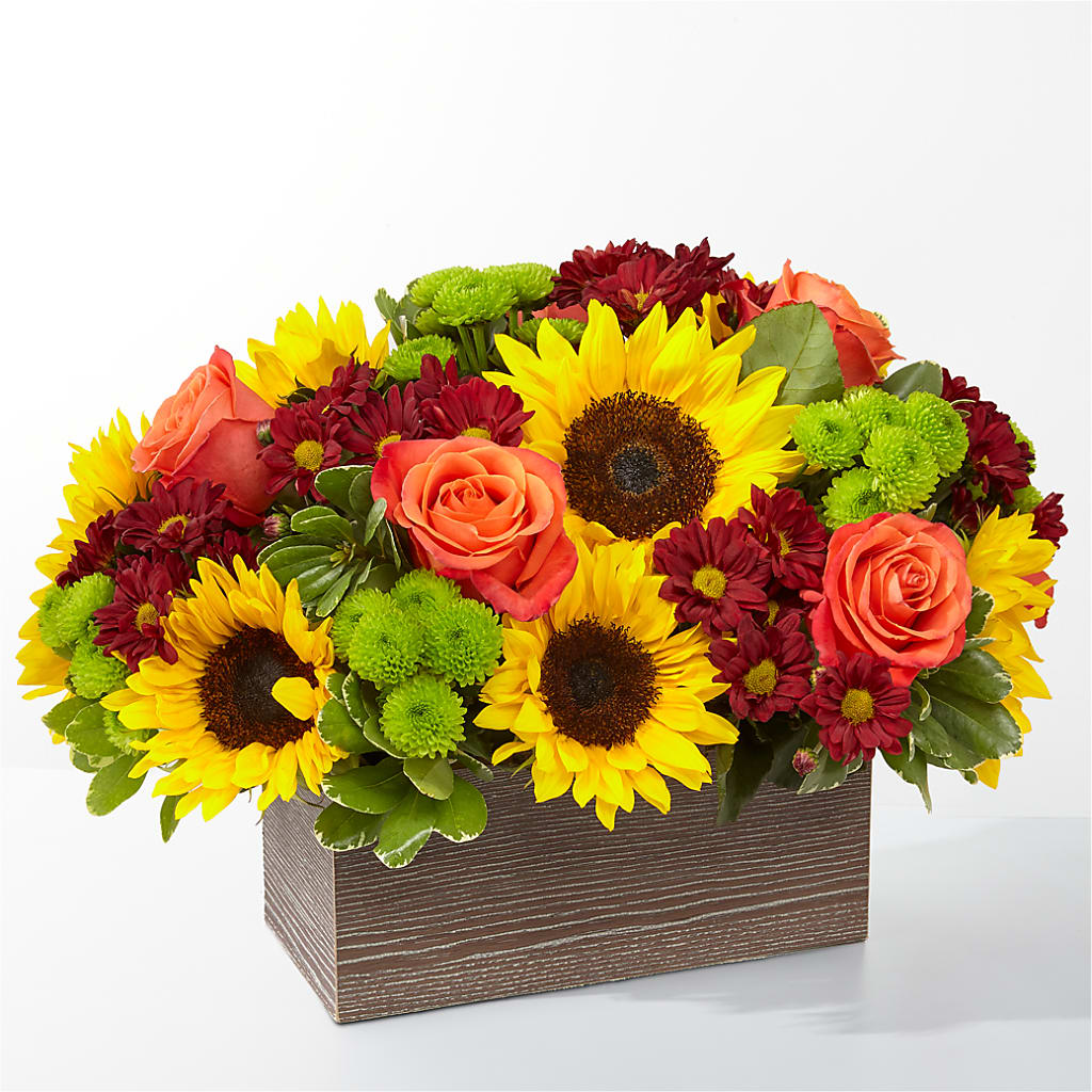 Happy Harvest Garden – HONEY BEES FLORAL & MORE, Lucedale MS
