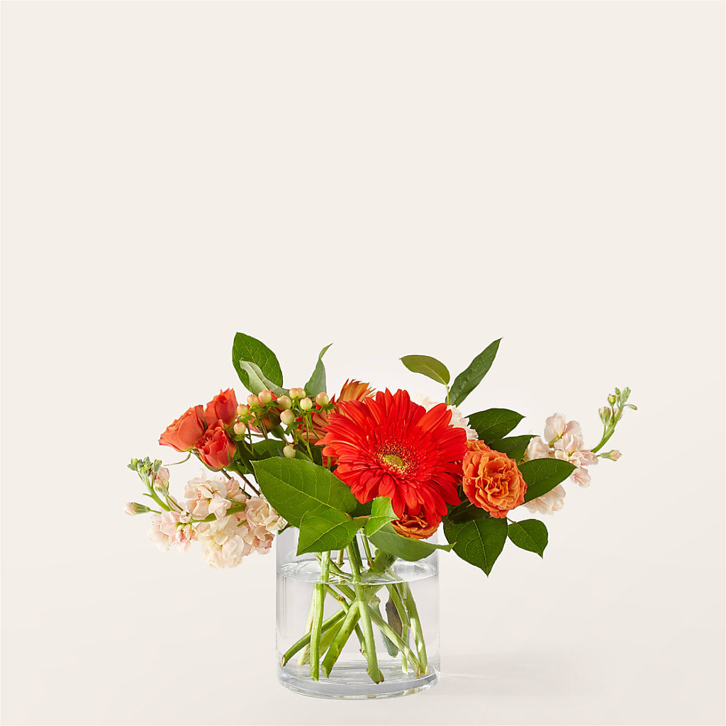 Paloma Please Bouquet – HONEY BEES FLORAL & MORE, Lucedale MS