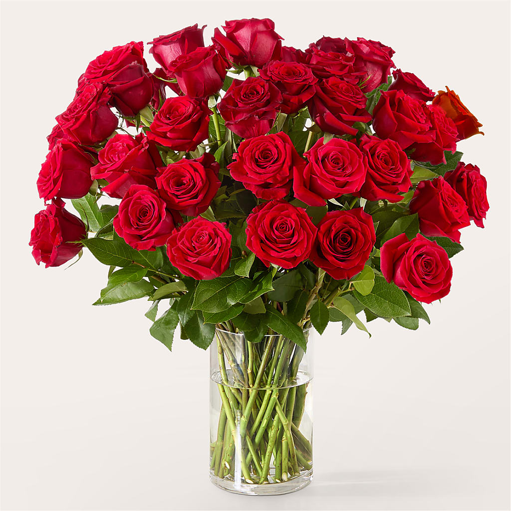 The One Red Rose Bouquet – HONEY BEES FLORAL & MORE, Lucedale MS