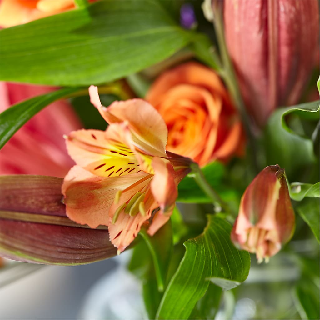 Bold & Bright – A Florist Original – HONEY BEES FLORAL & MORE, Lucedale MS