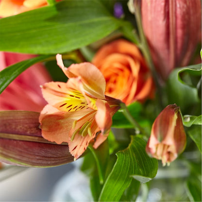 Bold & Bright – A Florist Original – HONEY BEES FLORAL & MORE, Lucedale MS