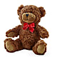 Adorable Plush Bear – HONEY BEES FLORAL & MORE, Lucedale MS