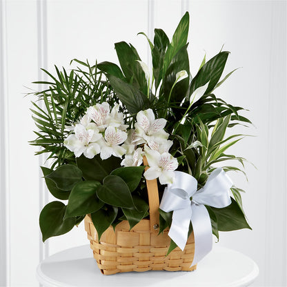 Peace & Serenity Dishgarden – HONEY BEES FLORAL & MORE, Lucedale MS