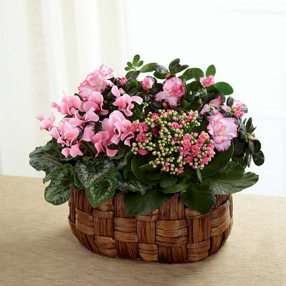 Pink Assortment – HONEY BEES FLORAL & MORE, Lucedale MS