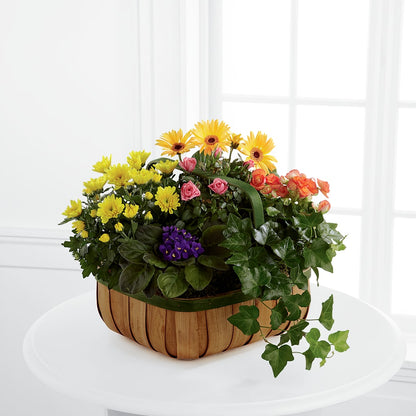 Gentle Blossoms Basket – HONEY BEES FLORAL & MORE, Lucedale MS