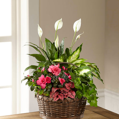 Dream in Pink Dishgarden – HONEY BEES FLORAL & MORE, Lucedale MS