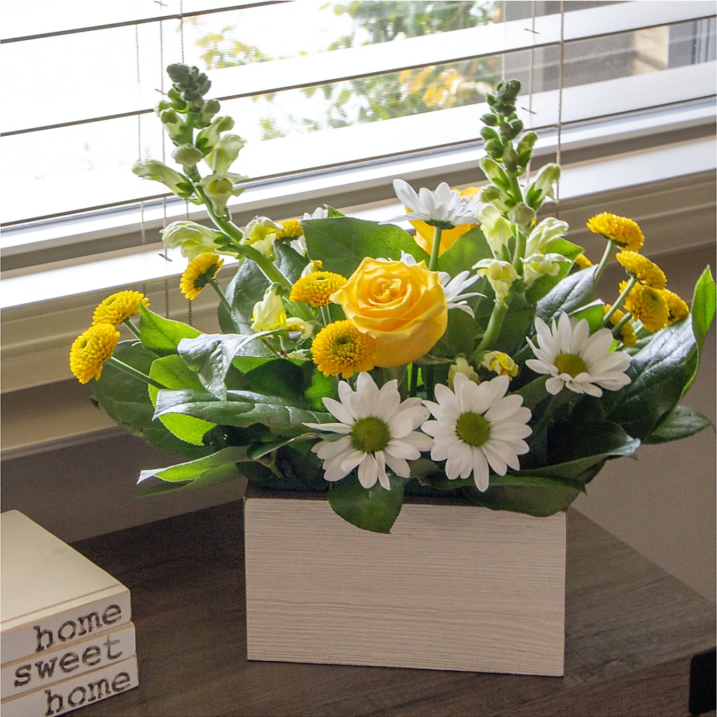 Sun Salutation Box Bouquet – HONEY BEES FLORAL & MORE, Lucedale MS