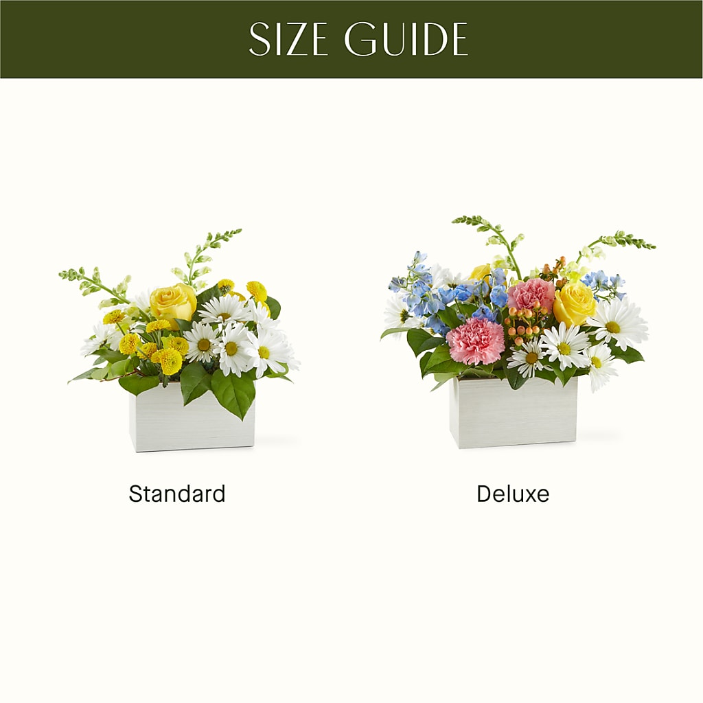 Sun Salutation Box Bouquet – HONEY BEES FLORAL & MORE, Lucedale MS