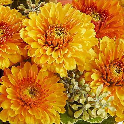 Peachy Pumpkin – HONEY BEES FLORAL & MORE, Lucedale MS
