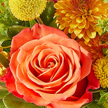 Gourdgeous Pumpkin – HONEY BEES FLORAL & MORE, Lucedale MS