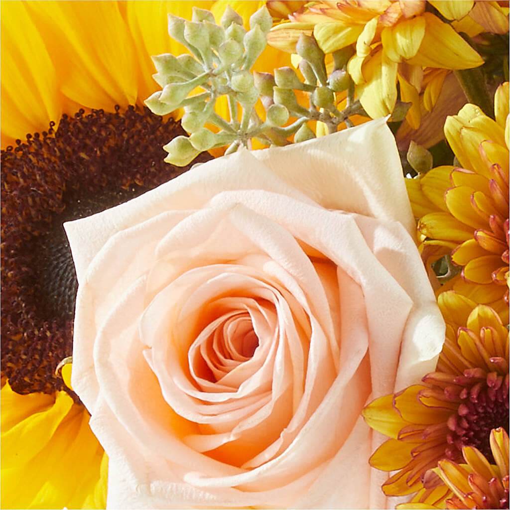 Pumpkin to Talk About Bouquet – HONEY BEES FLORAL & MORE, Lucedale MS