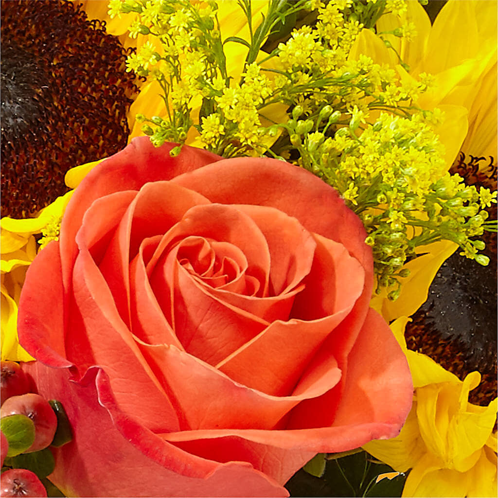 Pick of the Patch Pumpkin Bouquet – HONEY BEES FLORAL & MORE, Lucedale MS