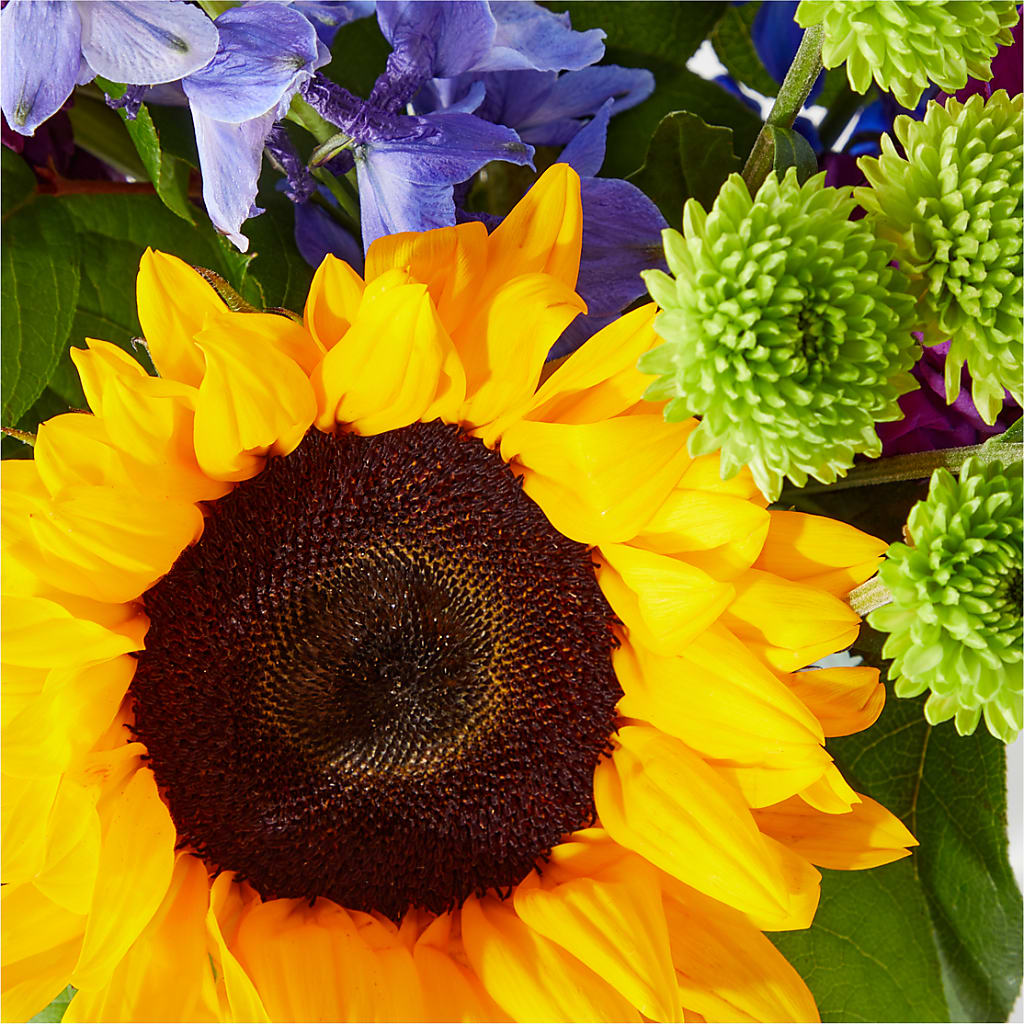 Catching Rays Bouquet – HONEY BEES FLORAL & MORE, Lucedale MS