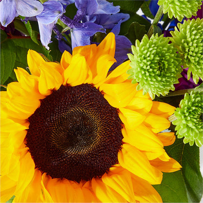 Catching Rays Bouquet – HONEY BEES FLORAL & MORE, Lucedale MS