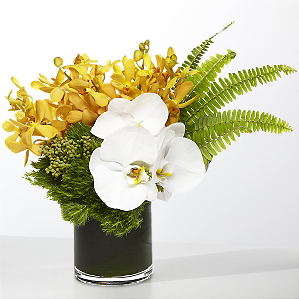 The Tropics – HONEY BEES FLORAL & MORE, Lucedale MS