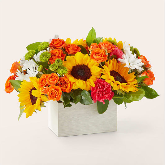 Sun-drenched Blooms Box Bouquet – HONEY BEES FLORAL & MORE, Lucedale MS