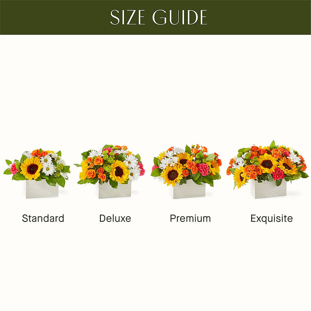 Sun-drenched Blooms Box Bouquet – HONEY BEES FLORAL & MORE, Lucedale MS