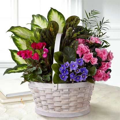 Peaceful Garden Planter – HONEY BEES FLORAL & MORE, Lucedale MS