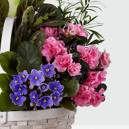 Peaceful Garden Planter – HONEY BEES FLORAL & MORE, Lucedale MS