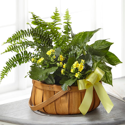 Always Dear Dishgarden – HONEY BEES FLORAL & MORE, Lucedale MS