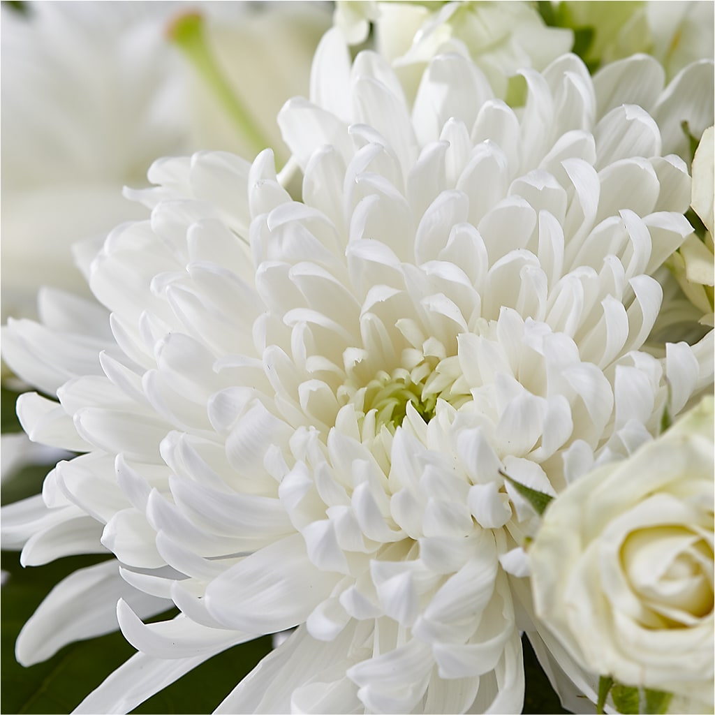 Classic Ivory – A Florist Original – HONEY BEES FLORAL & MORE, Lucedale MS