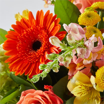 Autumn Sunshine Bouquet – HONEY BEES FLORAL & MORE, Lucedale MS
