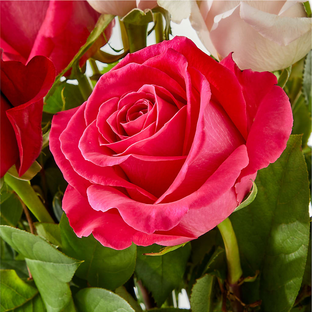 Charming Rose Bouquet – HONEY BEES FLORAL & MORE, Lucedale MS