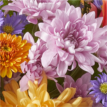 Countryside Bouquet – HONEY BEES FLORAL & MORE, Lucedale MS