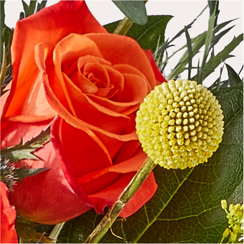 Disco Bouquet – HONEY BEES FLORAL & MORE, Lucedale MS