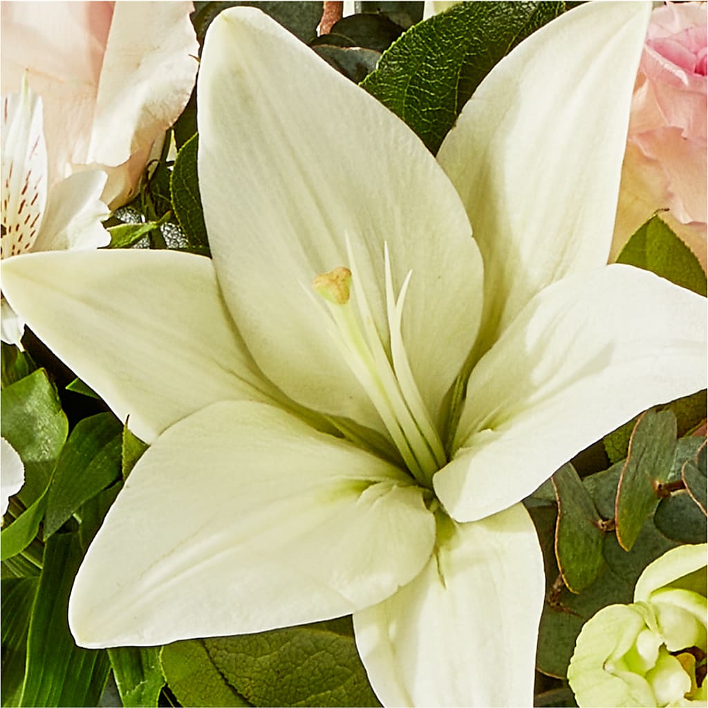 Ballet Slippers Bouquet – HONEY BEES FLORAL & MORE, Lucedale MS
