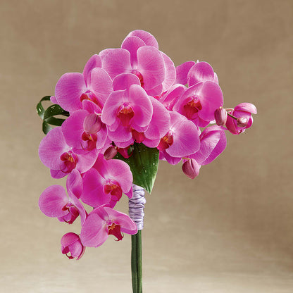 Glorious Bouquet – HONEY BEES FLORAL & MORE, Lucedale MS
