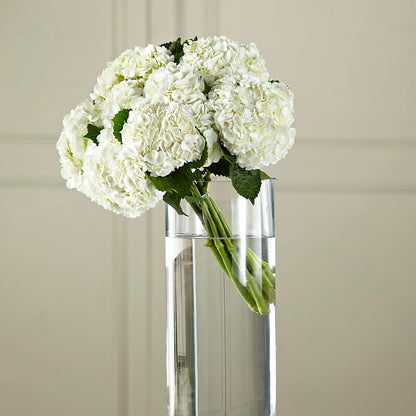White Hydrangea Hand-Tied Bouquet – HONEY BEES FLORAL & MORE, Lucedale MS