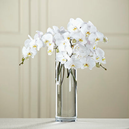 White Phalaenopsis Bouquet – HONEY BEES FLORAL & MORE, Lucedale MS